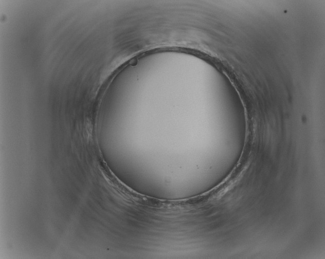 X0000073491505200608211637