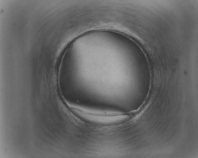 X0000073491506200608211637