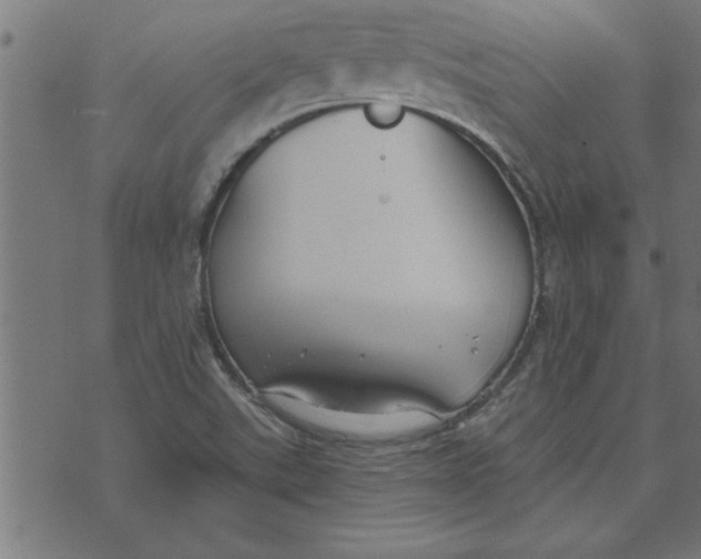 X0000073491507200608211637