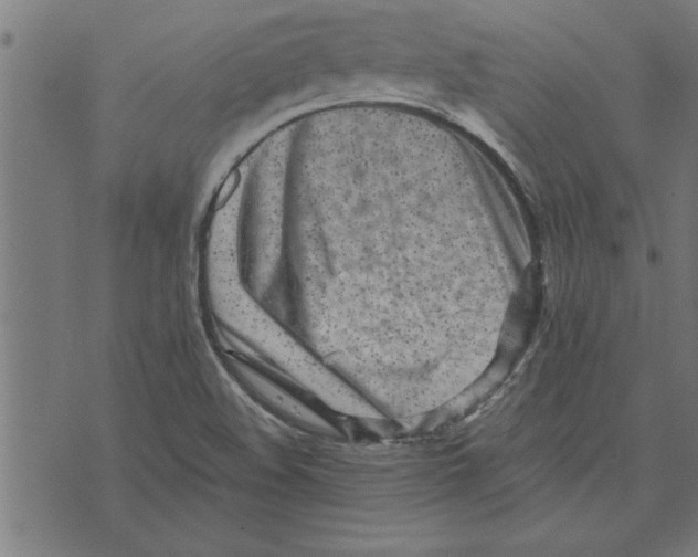 X0000073491508200608211637