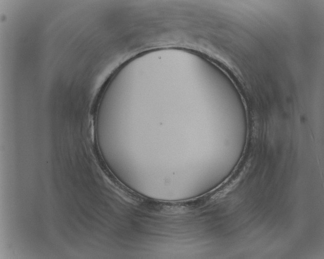 X0000073491509200608211637