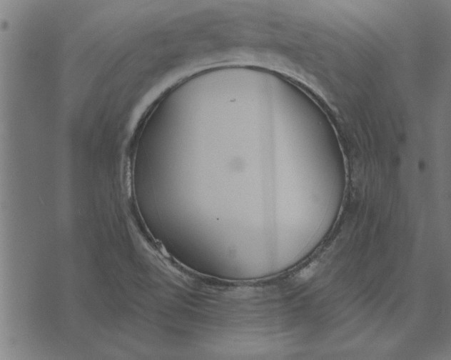 X0000073491510200608211637