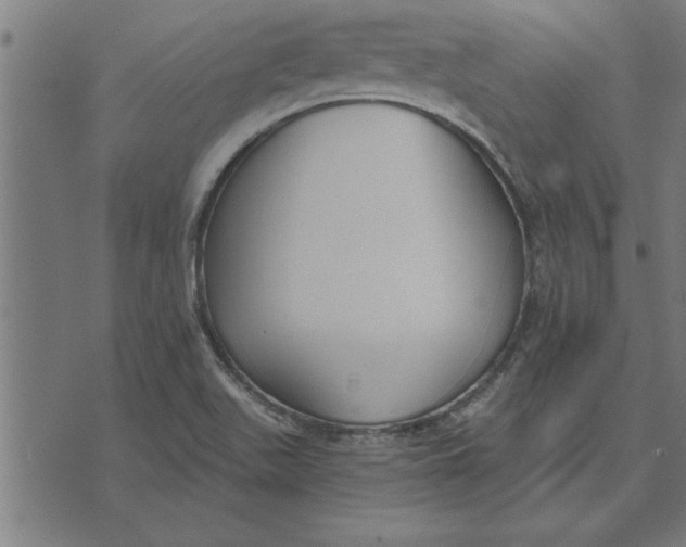 X0000073491511200608211637