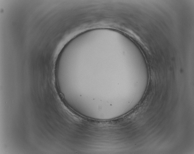 X0000073491512200608211637