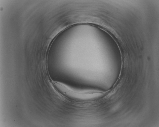 X0000073491513200608211637