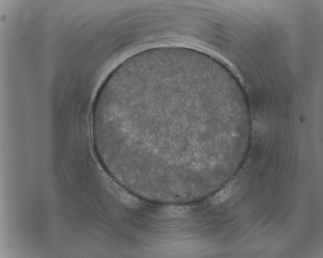 X0000073491514200608211637