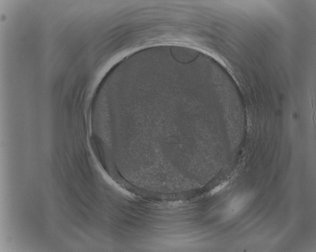 X0000073491515200608211637