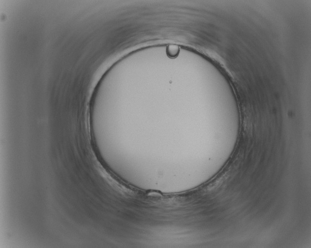 X0000073491516200608211637