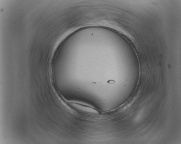 X0000073491517200608211637