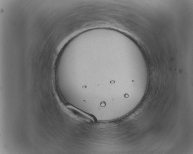 X0000073491518200608211637