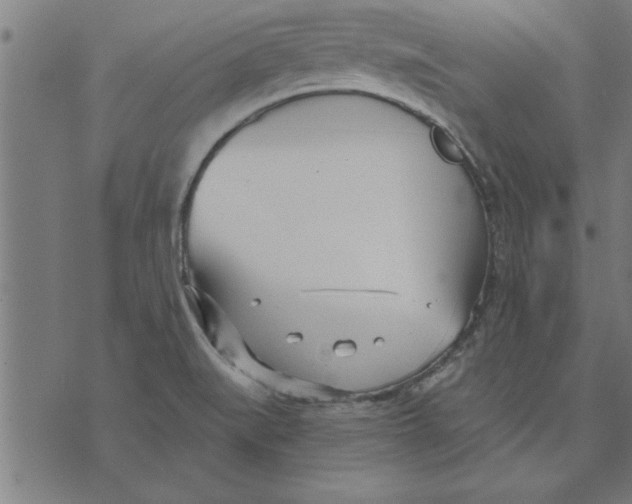 X0000073491519200608211637