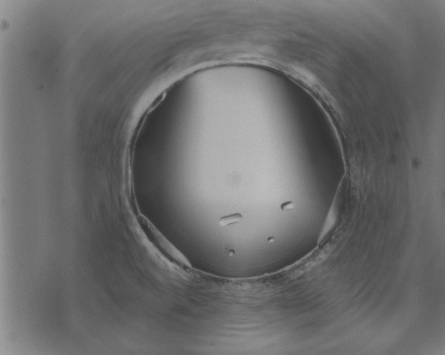 X0000073491520200608211637