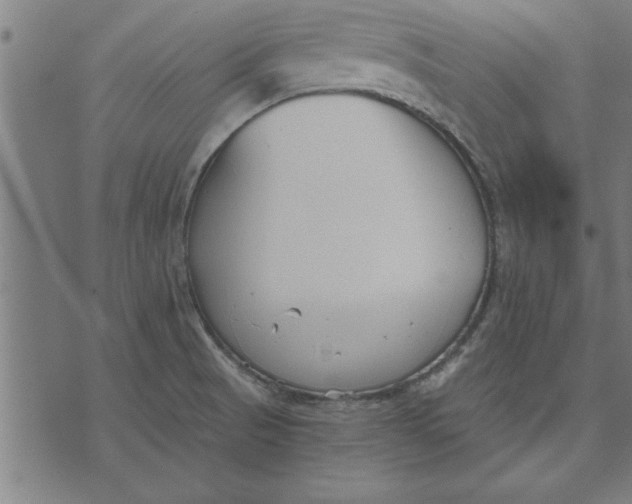 X0000073491521200608211637