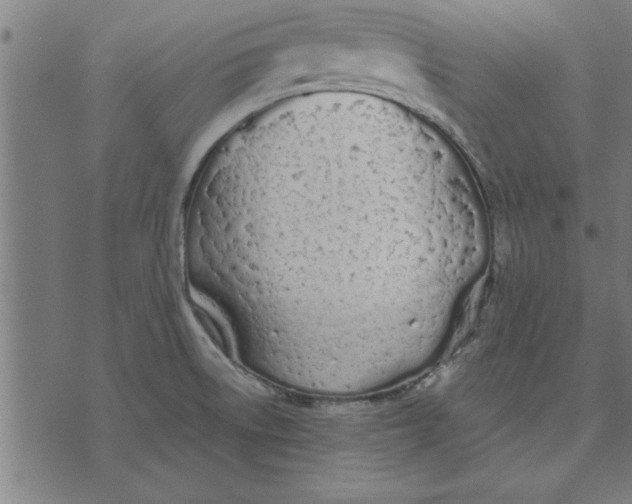 X0000073491522200608211637