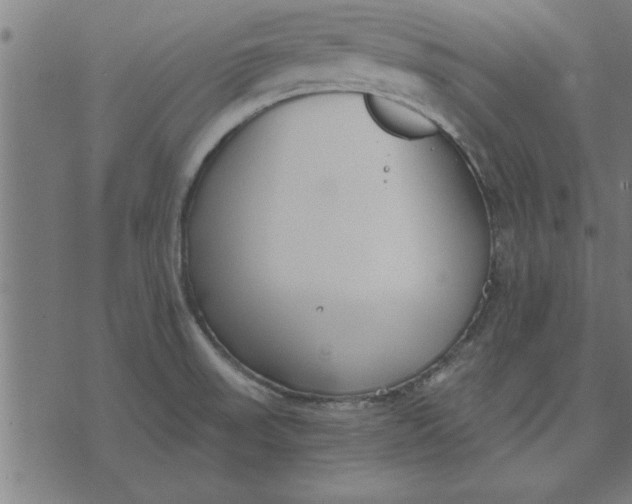 X0000073491523200608211637