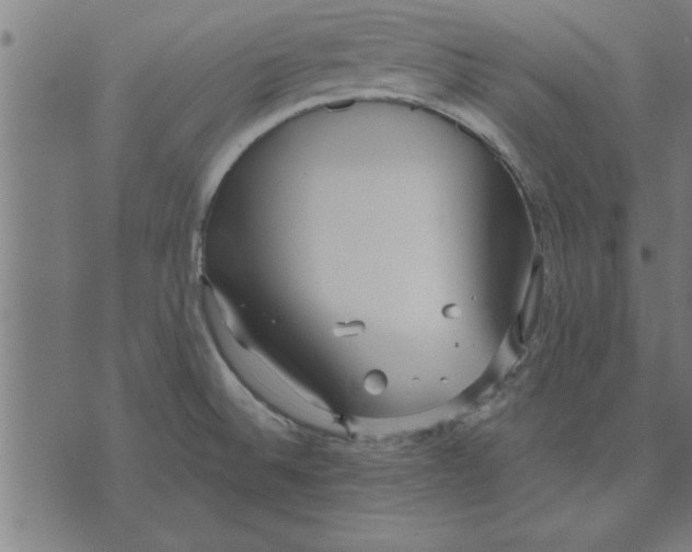 X0000073491524200608211637