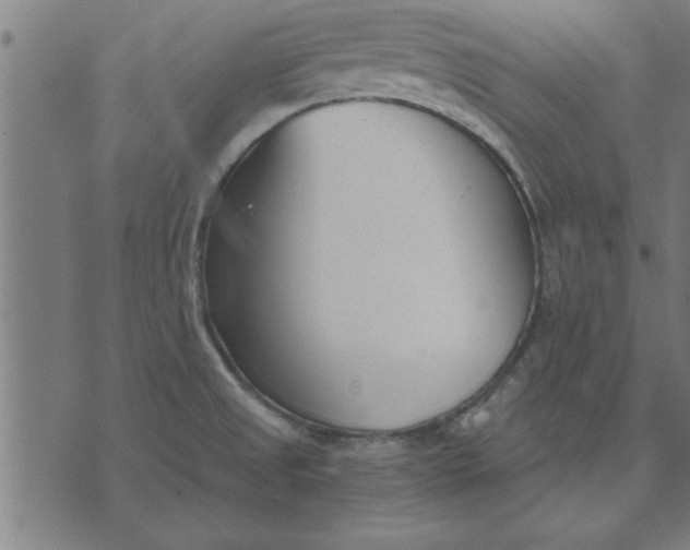 X0000073491525200608211637