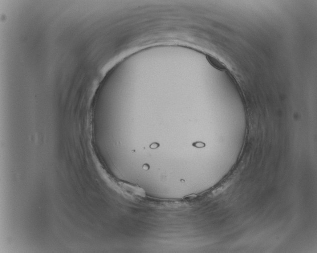 X0000073491526200608211637