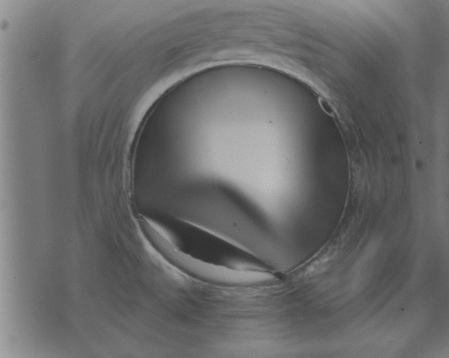 X0000073491527200608211637