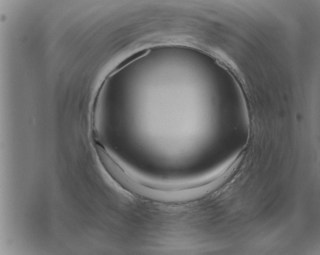 X0000073491528200608211637