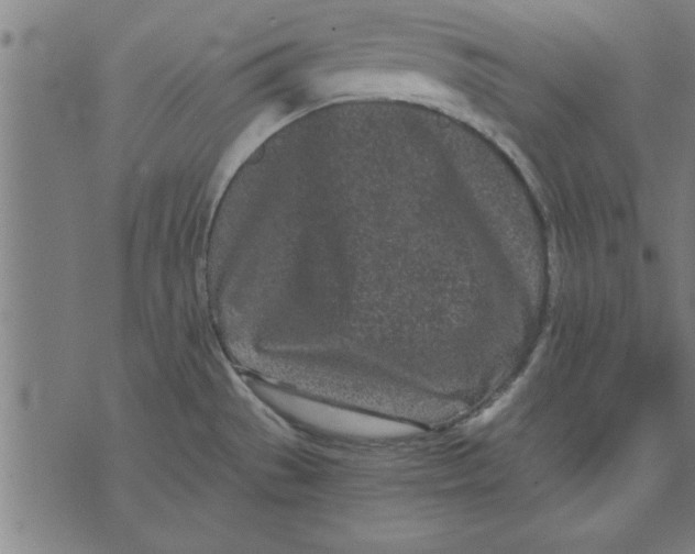 X0000073491529200608211637