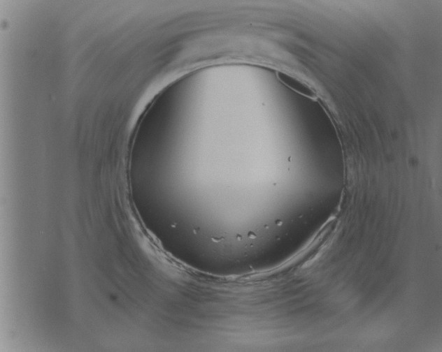 X0000073491530200608211637