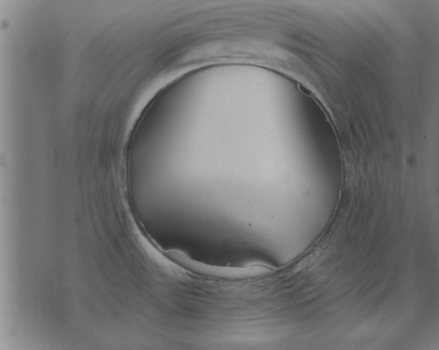 X0000073491531200608211637