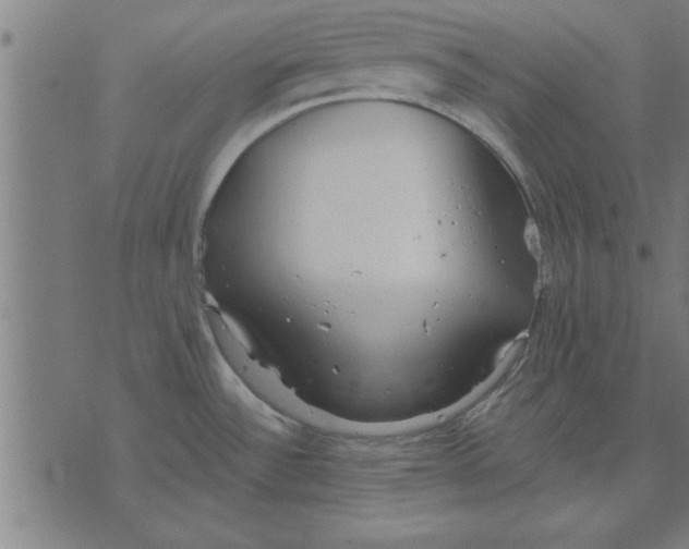 X0000073491532200608211637