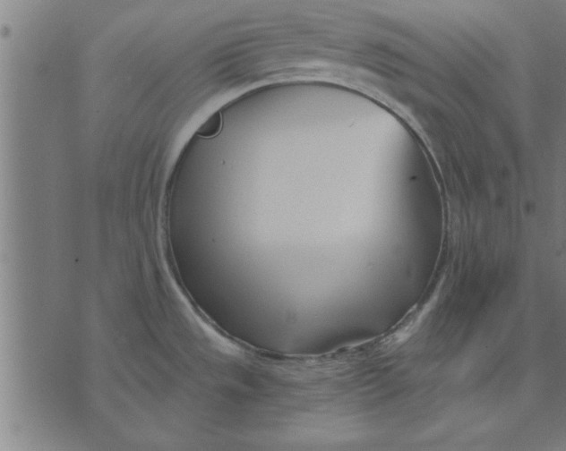 X0000073491533200608211637