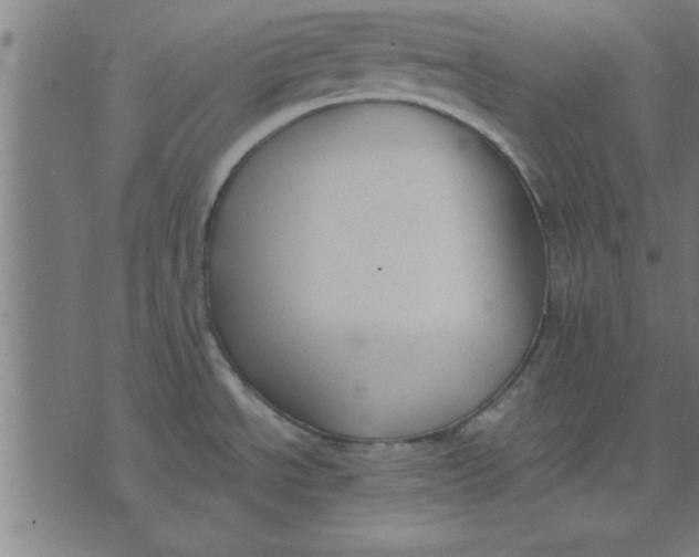 X0000073491534200608211637