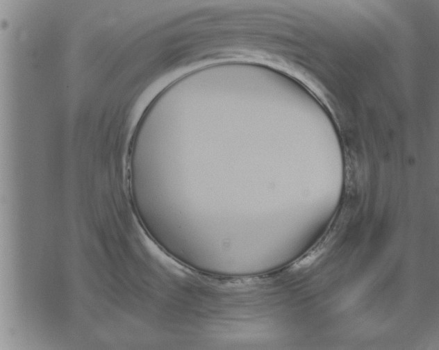 X0000073491535200608211637