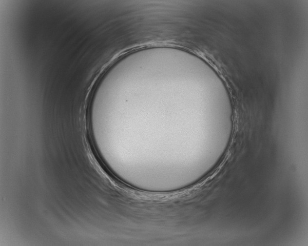 X0000073490002200608281627