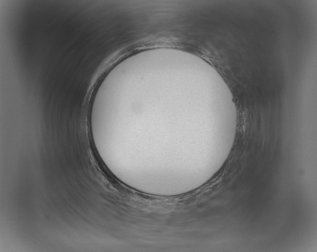 X0000073490004200608281627