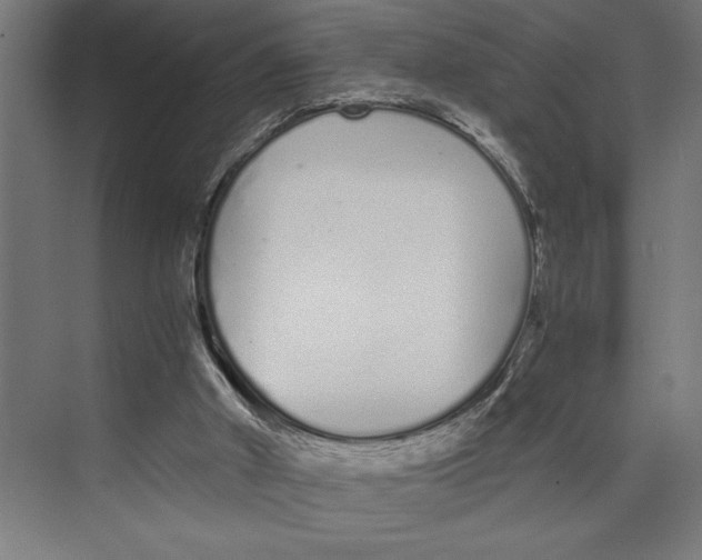 X0000073490010200608281627