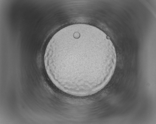 X0000073490012200608281627