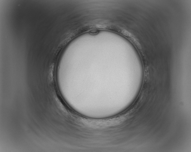 X0000073490018200608281627