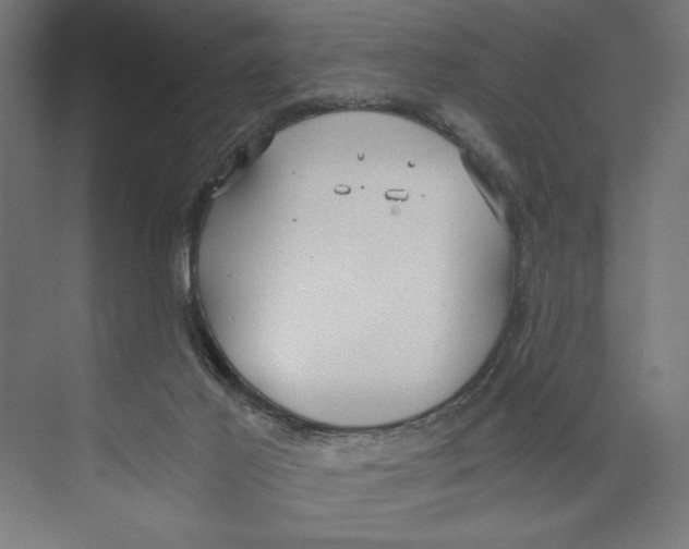 X0000073490021200608281627