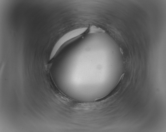 X0000073490033200608281627