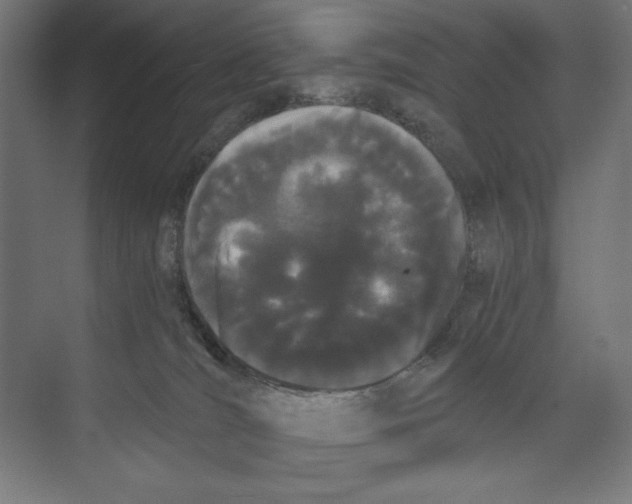 X0000073490036200608281627