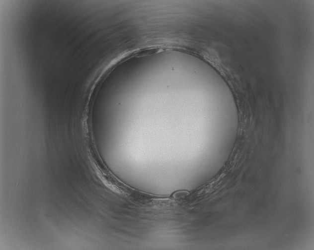 X0000073490050200608281626