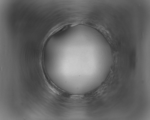 X0000073490051200608281626