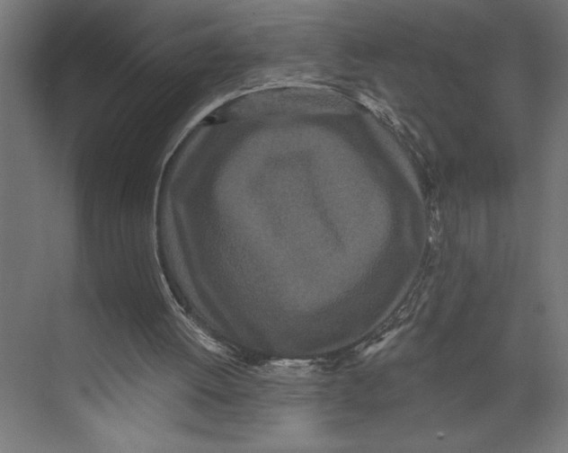 X0000073490052200608281626
