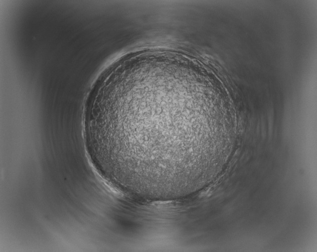 X0000073490054200608281626