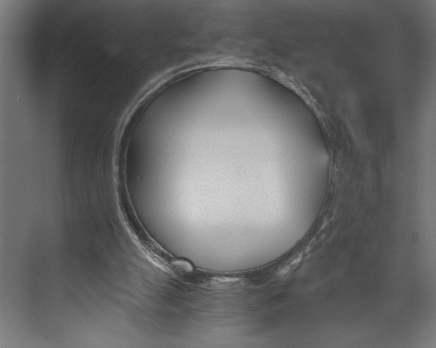 X0000073490055200608281626