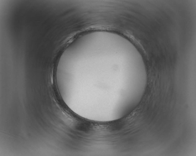 X0000073490062200608281626