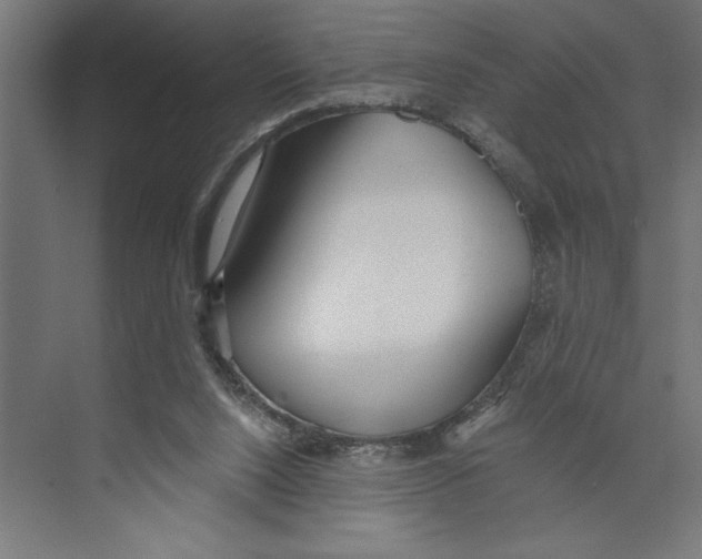 X0000073490064200608281626