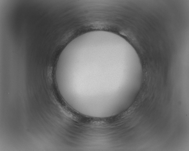 X0000073490066200608281626