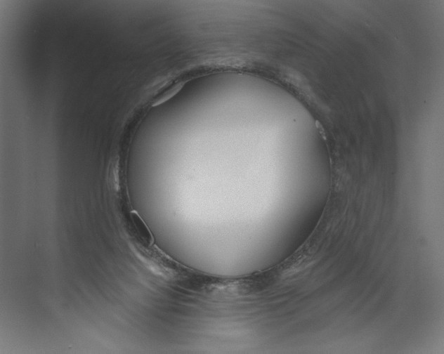 X0000073490068200608281626