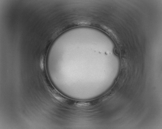 X0000073490069200608281626