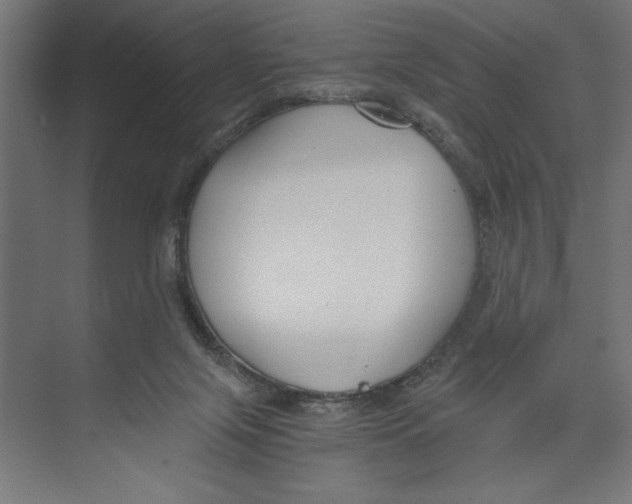 X0000073490071200608281626